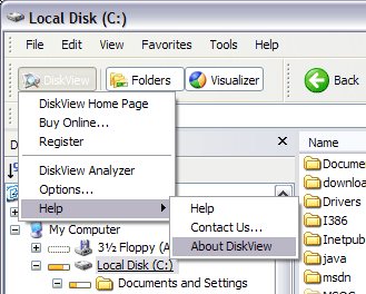 DiskView toolbar's drop-down menu 